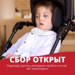 Срочный сбор: ЭЭГ-мониторинг для Радомира
